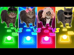 Oiiaoiia Cat x PASSO BEM SOLTO vs After Dark vs APT vs Gangnam Style - Tiles Hop