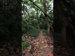 Not all trails are created equal...