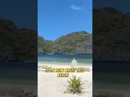Visiting a PRIVATE ISLAND in El Nido, The Philippines #elnido #palawan #starbeach