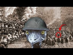 How Australia Lost War Against Birds | The Great EMU War