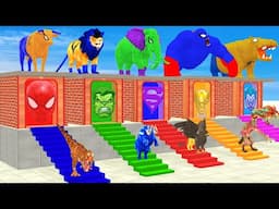 Cow Elephant Lion Gorilla Hippo DO NOT CHOOSE THE WRONG STAIRS Animals Crossing Fountain Cage Game