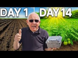 Watch How I Make The Perfect Growing Soil in Minutes!