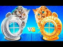 Cách Xây Phòng Bí Mật Cho Mèo Con! Mèo Vàng vs Mèo Bạc!