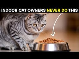 Scientists Just Discover If You Have an Indoor Cat, Never Make This Mistake