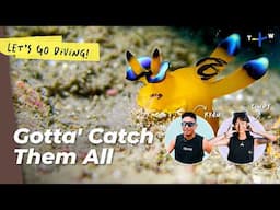 Diving for Pokémon Along Taiwan’s Northern Coast | Let’s Go Diving!