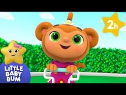 This is the Way We Go Up & Down | Little Baby Bum | Preschool Songs | Nursery Rhymes