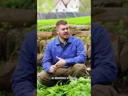 Foraging Wild Garlic in Mushroom Valley | Country Living UK