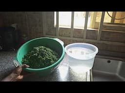How TO MAKE WATER LEAF JUICE//GOOD BYE TO DIABETES.