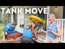 Moving my AFRICAN CICHLID Aquariums! (FULL MOVE)
