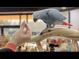 BirdTricks x DallasParrots LIVE Event June 22 2025! @dallasparrots