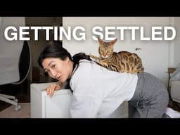 Making our small apartment CAT FRIENDLY and FUNCTIONAL – MOVE-IN VLOG