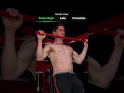 Build Muscle With Pull Ups!