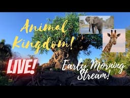 🔴LIVE: Disney’s Animal Kingdom | Disney World Livestream | 4/27/2025