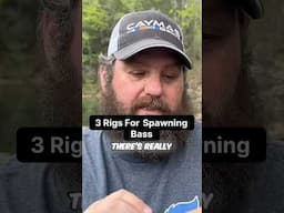 Three Rigs For Spawning Bass