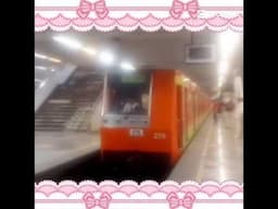 linea 3