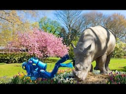 De VERBORGEN Schatten van Zoo Antwerpen Ontdekt!