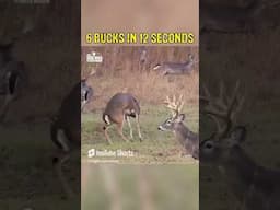 6 BUCKS in 12 SECONDS! #shorts