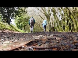 Day 33 - What Are You Gonna Do About It? | Camino Frances 2025