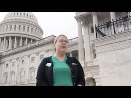 Small business owners on the impact of tariffs