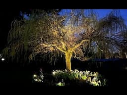 Ultimate Solar Spotlights! Dual Charge 3 Color Dimmable & Waterproof for Yard, Pathway & Flagpoles