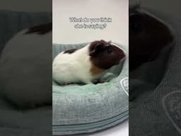 🥹