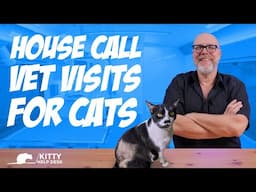 Is a House Call Vet a Good Solution for Your Cat's Health Care?