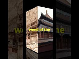 Unveiling the Surprising History of Corn in China