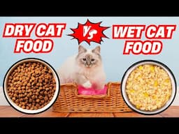 Wet vs. Dry Cat Food – Which is BEST for Your Kitty?