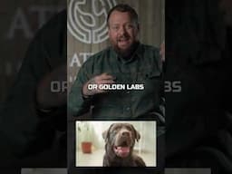 If You Have Kids, Get One Of These 3 Dog Breeds!