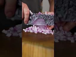 MUTSUMI HINOURA GYUTO VS ONION #shorts