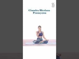 Pause. Breathe. Reset. 🧘‍♀️ | 1-Minute Meditation #fitnesschallenge #shilpashetty