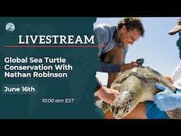 Global Sea Turtle Conservation With Nathan Robinson