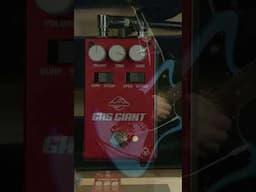 This Fuzz Pedal is the One! #guitar #guitarpedals #basspedals #pigtronix #fuzzpedals