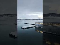 Saltstraumen Brygge is looking good in all its winter glory... ❄️🎣🇳🇴