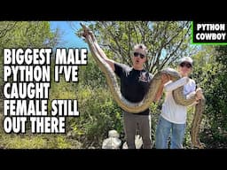 Hunting For A Missing Giant Python—5 Males Down, But She’s Still Out There
