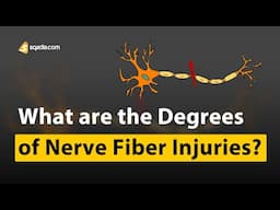What are the Degrees of Nerve Fiber Injuries? | Neurology Medicine
