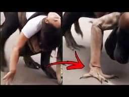 THEY CANT SEEM TO NOTICE WHAT HAPPENED SCARY VIDEOS