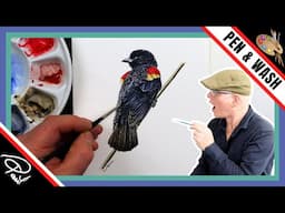 Black INK and WASH Bird (Tutorial)