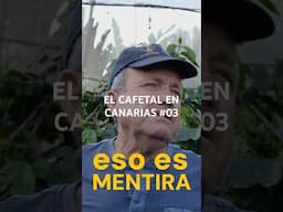 El Cafetal en Canarias #03 #cafe #cafeespecial #grancanaria #maspalomas #viajar #josuemoreno