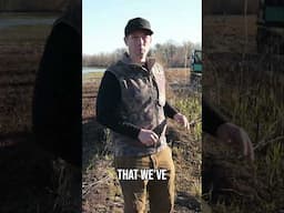Water Management For Waterfowl! #shorts