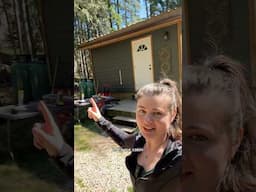Building a wood shed with raw materials and giving dead trees a new life. Part 1 #cabinbuild