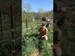 Easy Fertilizer Hack #shorts #gardening