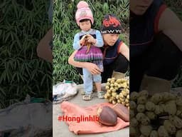 hoa chuối rừng chuối rừng @LongNghia-DailyVlog