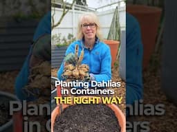 How to Plant Dahlias (EASY)