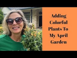 Adding Colorful Plants To My April Garden