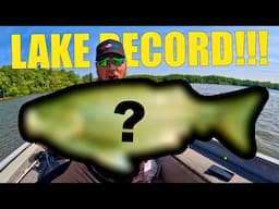 Lake Milton RECORD BREAKER!  This Fish Was Built Different.