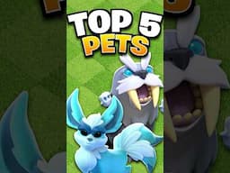 The TOP 5 BEST Hero Pets you NEED to Use!