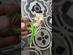 Flipkart beautiful strong hold steel claws #beautiful #haircare #aesthetic #skincare #yt