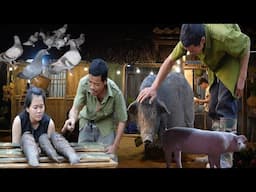 20 Doves, 2 Pigs, and a Whole Lot of Love – Life in the Countryside / SUNG A PAO