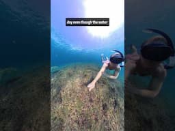 I still cannot believe how many we saw! #freediving